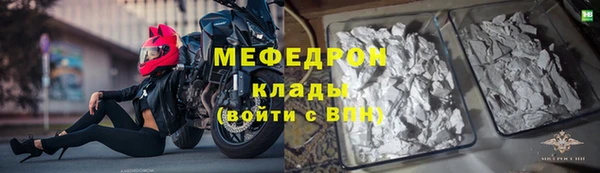 гидра Михайловка