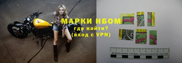 гидра Михайловка