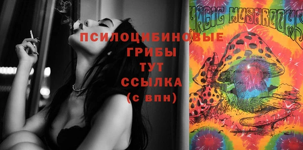 гидра Михайловка