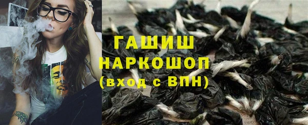 гидра Михайловка