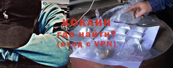 гидра Михайловка