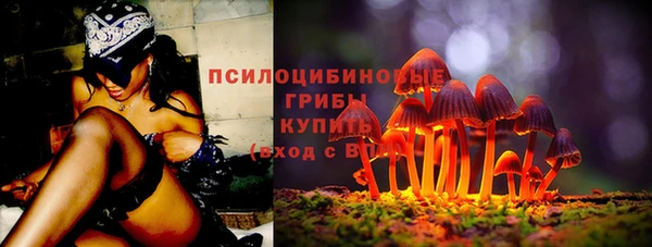 ешки Михайловск